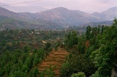 nepal9333