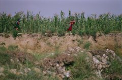 nepal9341