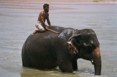nepal9352