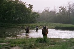 nepal9358