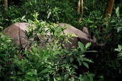 nepal9361