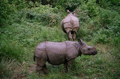 nepal9362