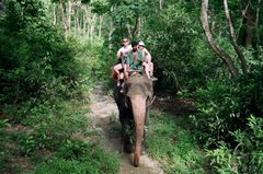 nepal9368