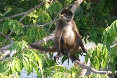 nicaragua2103