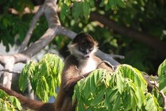 nicaragua2104
