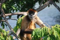 nicaragua2105