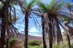 nicaragua5055