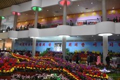 noord-korea3079