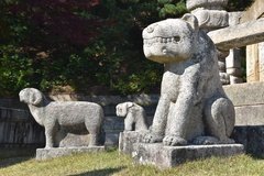 noord-korea4142