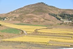 noord-korea4167