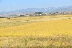 noord-korea4181