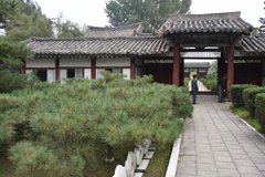 noord-korea5322