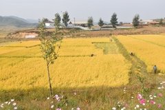 noord-korea6003