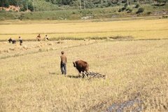 noord-korea6008