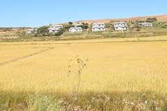 noord-korea6011