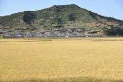 noord-korea6019