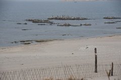 noord-korea6217