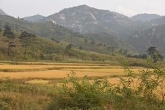 noord-korea6231