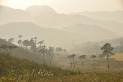 noord-korea6232