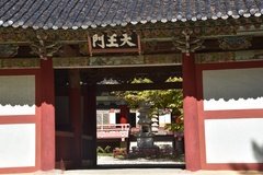 noord-korea7025
