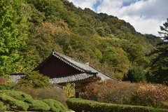 noord-korea7067