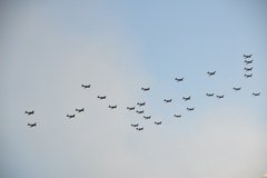 noord-korea8662