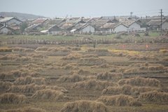 noord-korea9026