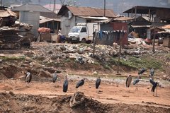 uganda0595