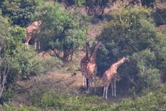 uganda1014
