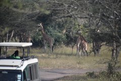 uganda1016