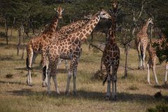 uganda1024