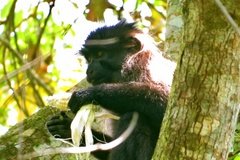 uganda2807