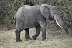 uganda4245