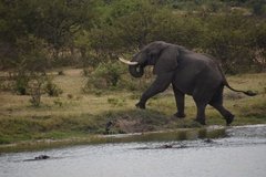 uganda4255