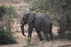 uganda4257