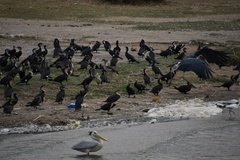 uganda4323