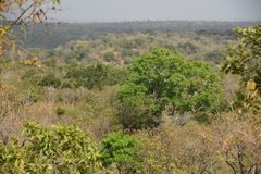 uganda5008