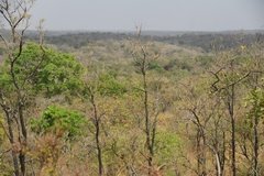 uganda5009