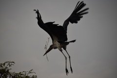 uganda5059