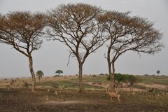 uganda5082