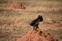 uganda5098