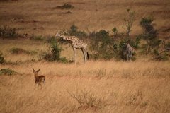 uganda5117