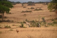 uganda5118