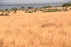 uganda5131