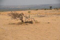 uganda5134