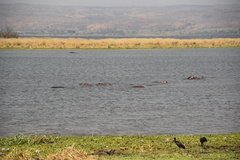 uganda5137