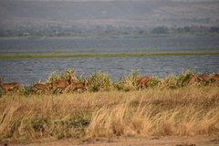 uganda5139
