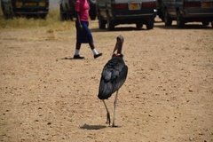 uganda5156