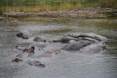 uganda5171