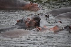 uganda5173